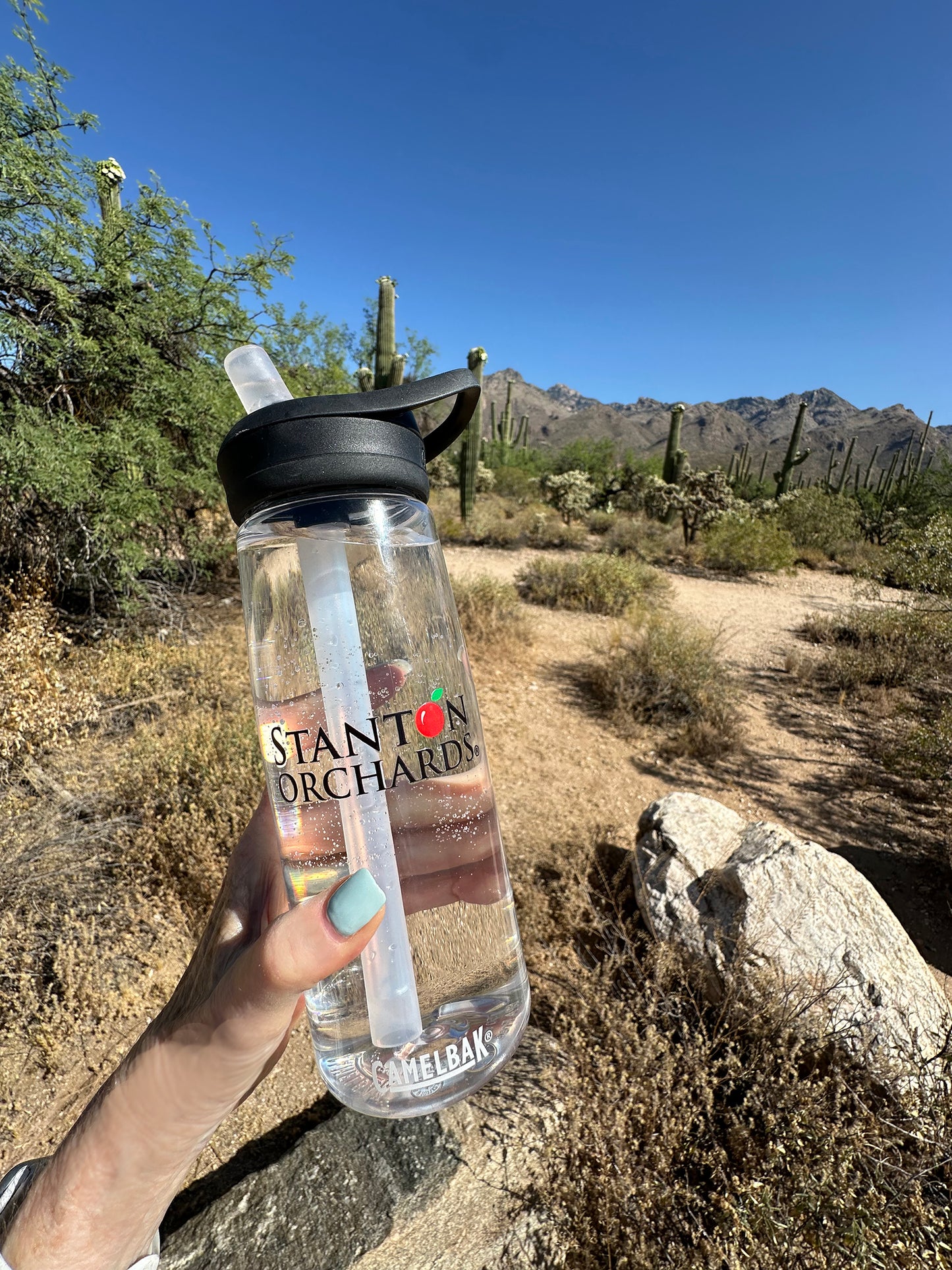 Lifestyle Water Bottle for Stanton Orchards fans - Recycled - Use for All Occasions