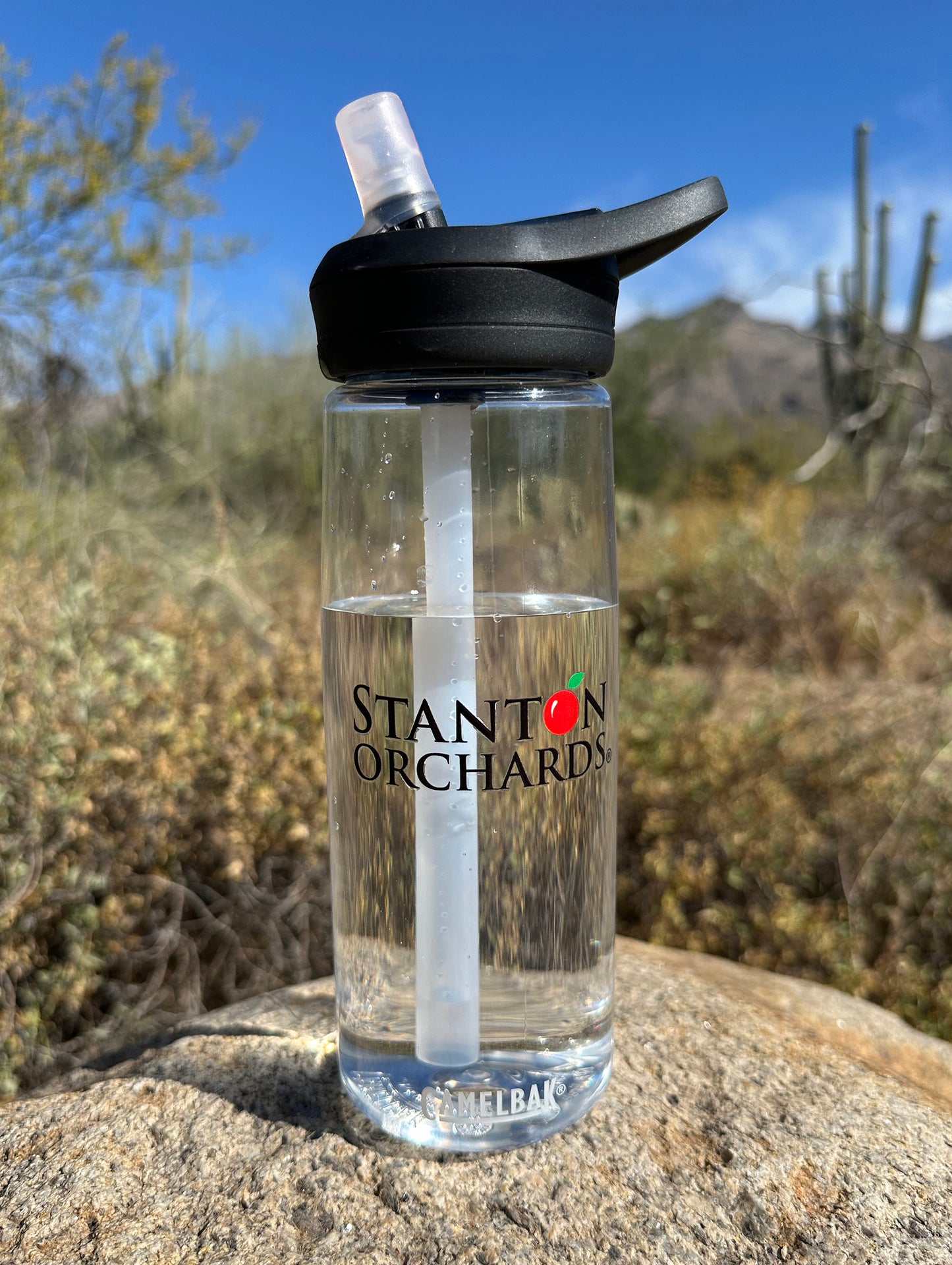 Lifestyle Water Bottle for Stanton Orchards fans - Recycled - Use for All Occasions